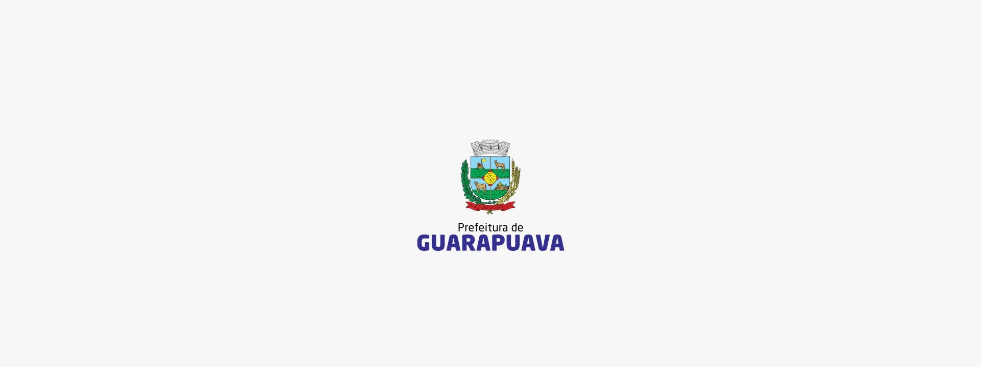 GuarapuavaFundoWorflow